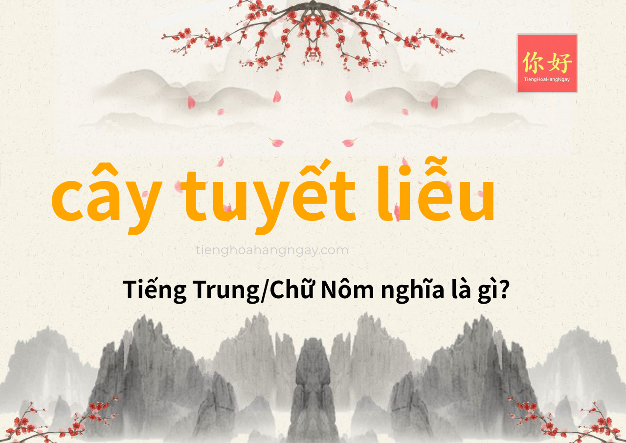cây tuyết liễu tiếng Trung là gì?